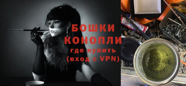 ПСИЛОЦИБИНОВЫЕ ГРИБЫ Белокуриха