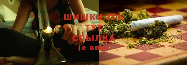 ПСИЛОЦИБИНОВЫЕ ГРИБЫ Белокуриха