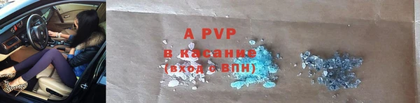 ПСИЛОЦИБИНОВЫЕ ГРИБЫ Белокуриха