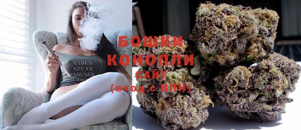 ПСИЛОЦИБИНОВЫЕ ГРИБЫ Белокуриха