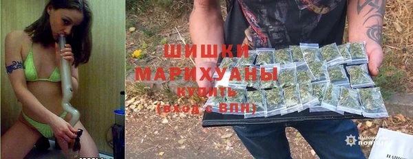 ПСИЛОЦИБИНОВЫЕ ГРИБЫ Белокуриха