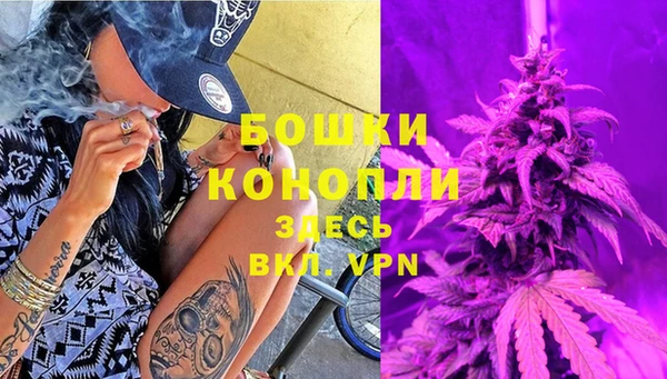 молекула духа Беломорск