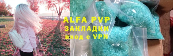 ПСИЛОЦИБИНОВЫЕ ГРИБЫ Белокуриха