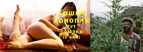 молекула духа Беломорск