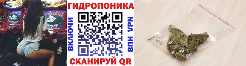 Бошки Шишки Bruce Banner  Кыштым 